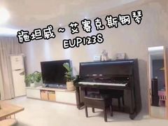 -秦川乐器(河西店)