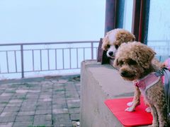 -灵山