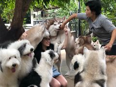 -TrueLove @ Neverland (Husky Cafe)