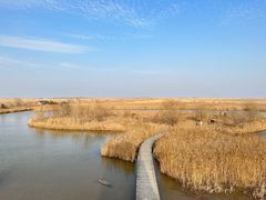 -盐城丹顶鹤湿地生态旅游区