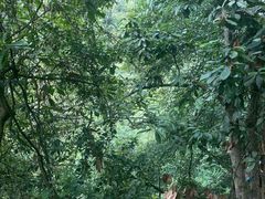 -赤水丹霞旅游区·大瀑布
