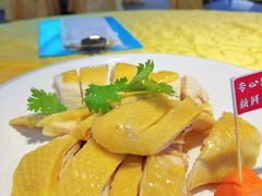 -新高记·粤菜·湛江鸡(南头古城店)