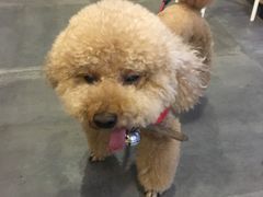 -沙青(江场二路店)