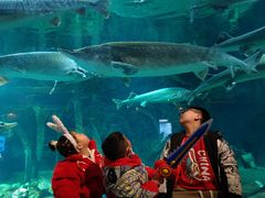 -华夏文旅西安度假区