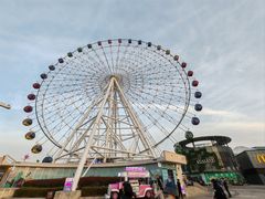 -鼎泰丰(嘉年华•海信广场VILLAGE店)