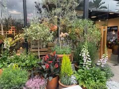 -自由生长植物工作室(深港花卉中心店)