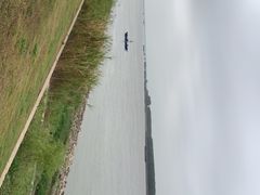 -滨江生态公园