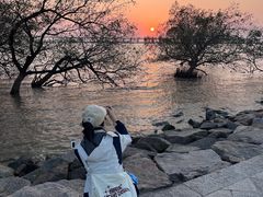 -宝安西湾红树林湿地公园