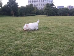 -杭州城北体育公园