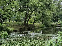 -杭州植物园