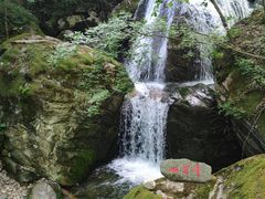 -牛背梁国家森林公园