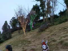 -枫香湖儿童公园