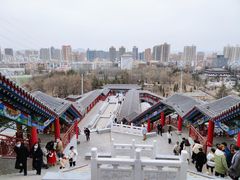-金城公园