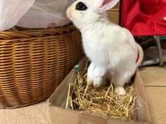 -美迦爱-牙专科·兔科·骨科诊疗中心(北苑店)