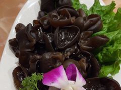 -清真军邺·金富苑肥牛(石坡街旗舰店)