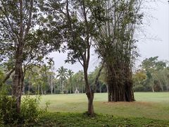 -中国科学院西双版纳热带植物园
