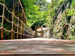 景点-牛背梁国家森林公园