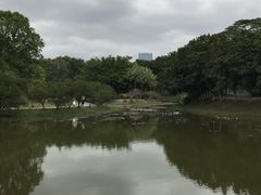 -东莞植物园
