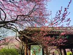 -杭州植物园