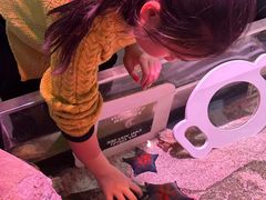 -沈阳海洋探索中心