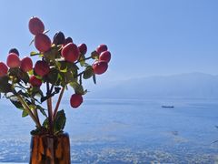 -六阅·福十 FORTEN 海景咖啡西餐厅(双廊古镇店)