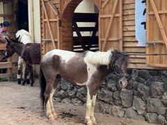 -HERRE·FARM 赫尔露营农场·团建聚会包场