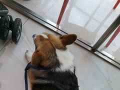 -發起人·肉骨茶(万象汇店)