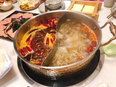 -菌子鲜汤野生菌锅