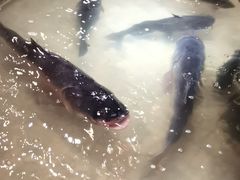 -万里闯关东铁锅炖菜馆(高新旗舰店)