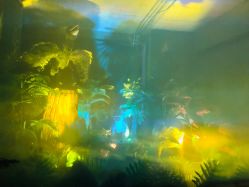 -恐龙探索乐园(磁器口店)