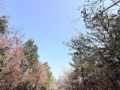 -虞山风景区
