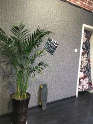 点击看大图 -HD HAIR STYLE