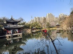 -水绘园