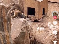 -昆明动物园