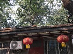 -北京国子监胡同