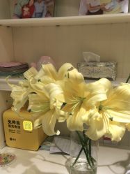 -北京俪婴妇产医院(朝阳大悦城店)