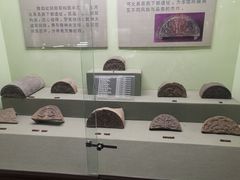 -古陶文明博物馆