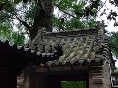 -青岛崂山太清宫