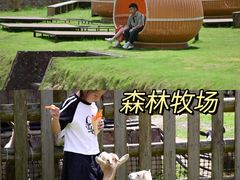 -龙岩森林水乡景区