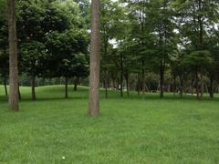 iphone_upload_pic-金沙遗址博物馆