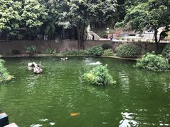 -九龙公园