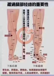 -YESIDO椰岛美容
