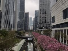 -深圳湾万象城(南山店)