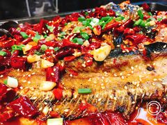 -晓鲜熊猫烤鱼烤吧(西三旗百汇北门店)