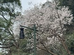 -黄公望隐居地