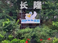 -广州长隆飞鸟乐园