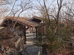 -阳台山自然风景区