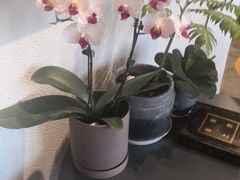 -LAB COFFEE来杯咖啡(浦仓路店)
