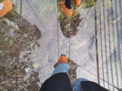 -南海湾森林生态园