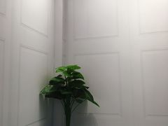 -广州白马服装市场